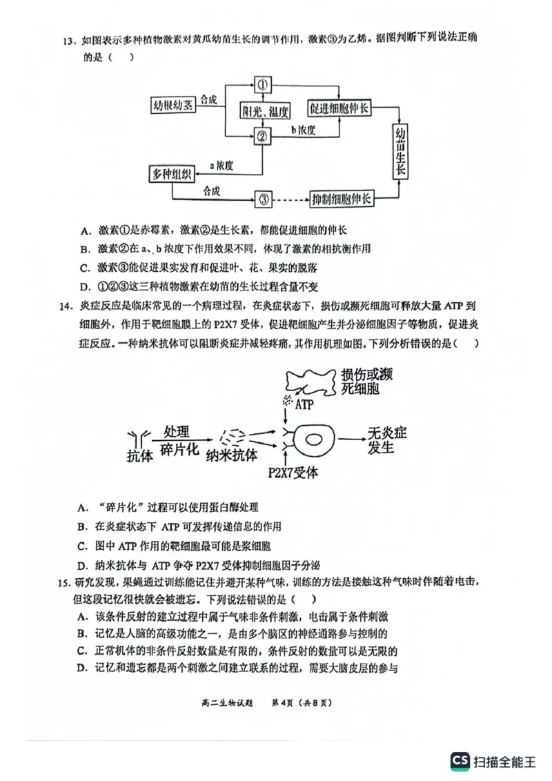 广西玉林市2024-2025学年高二上学期期末教学质量检测生物试卷_2024-2025高二（7-7月题库）_2025年03月试卷_0303广西壮族自治区玉林市2024-2025学年高二上学期1月期末考试