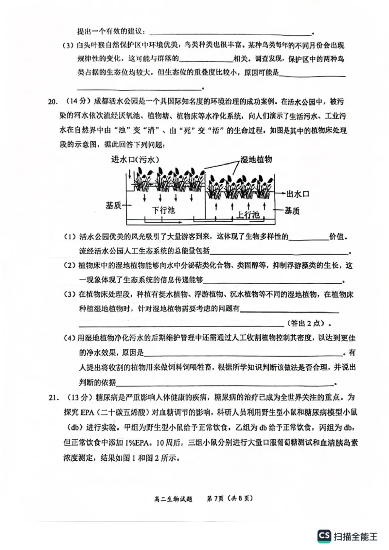 广西玉林市2024-2025学年高二上学期期末教学质量检测生物试卷_2024-2025高二（7-7月题库）_2025年03月试卷_0303广西壮族自治区玉林市2024-2025学年高二上学期1月期末考试