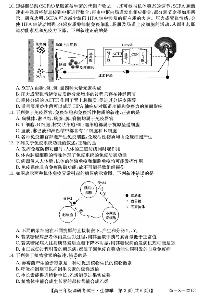 25届高三年级TOP二十名校调研考试三生物试卷_2024-2025高三（6-6月题库）_2024年12月试卷_1223河南省TOP二十名校2025届高三上学期调研考试（三）（全科）