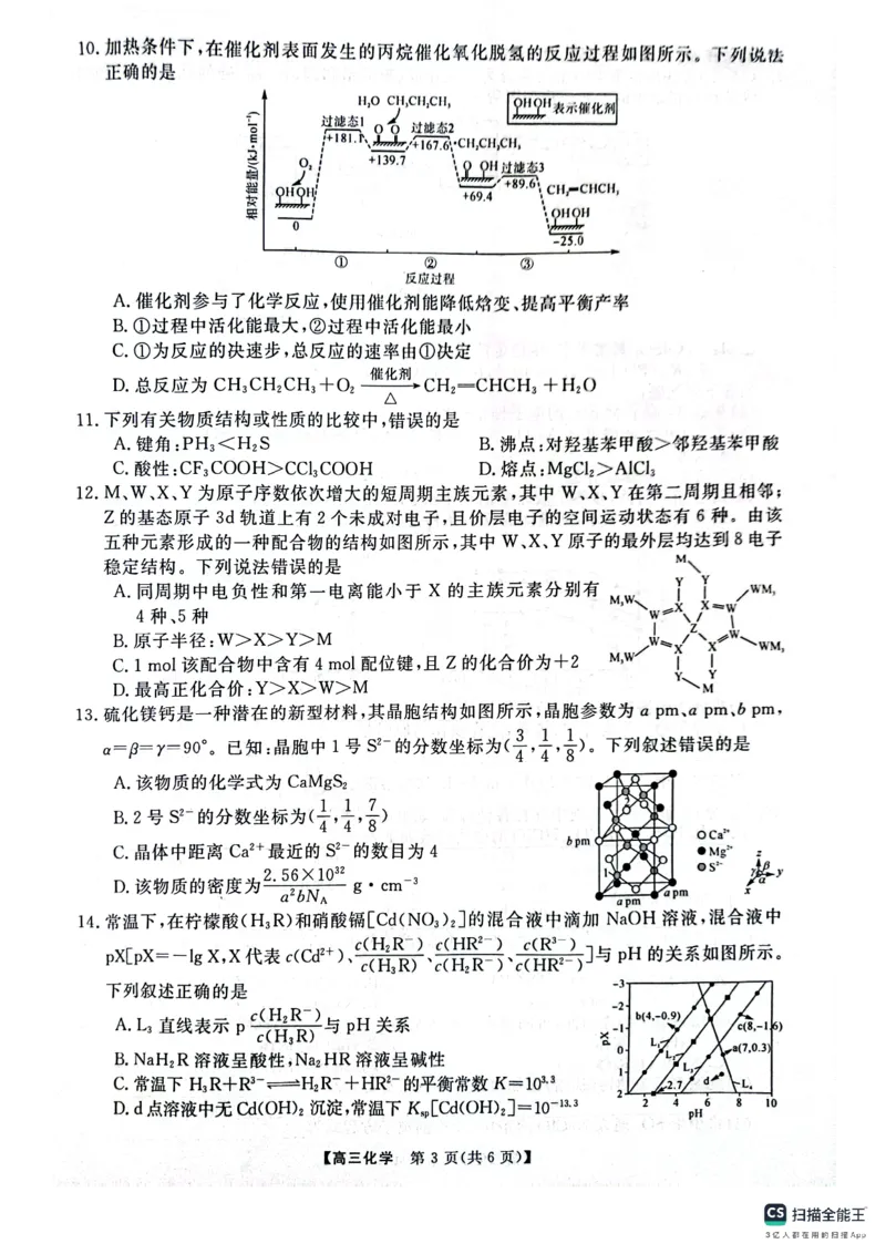 河南省名校联盟2024-2025学年上学期高三12联考-化学_2024-2025高三（6-6月题库）_2024年12月试卷_1225河南省金科大联考2024-2025学年上学期高三12月联考