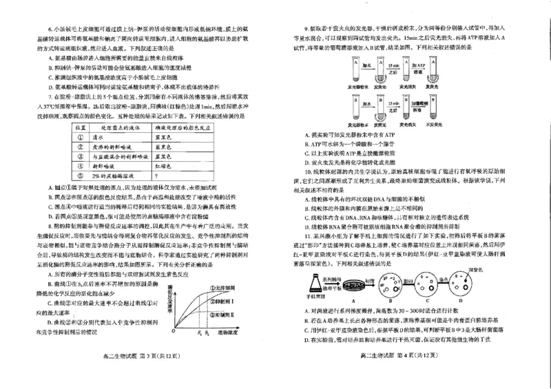 山东省泰安市2023-2024学年高二下学期7月期末生物试题_2024-2025高二（7-7月题库）_2024年07月试卷_0721山东省泰安市2023-2024学年高二下学期7月期末考试