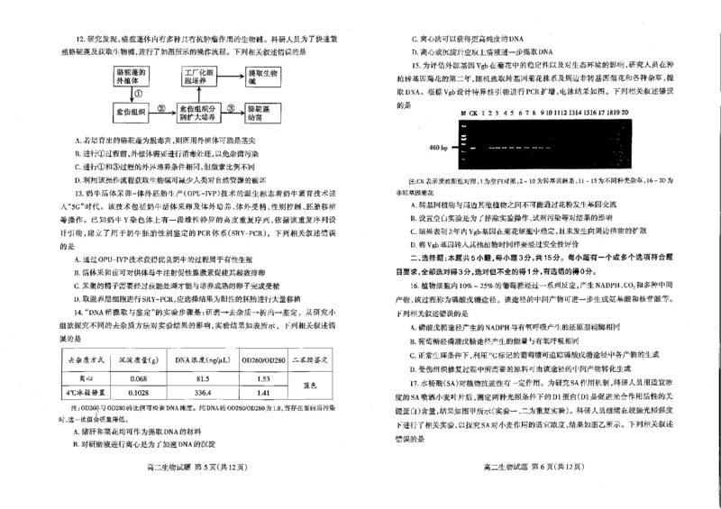 山东省泰安市2023-2024学年高二下学期7月期末生物试题_2024-2025高二（7-7月题库）_2024年07月试卷_0721山东省泰安市2023-2024学年高二下学期7月期末考试