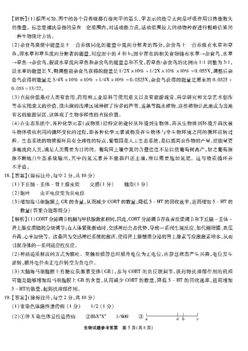 安徽省安徽六校教育研究会2025届高三年级入学素质测试（开学联考）生物试卷+答案_2024-2025高三（6-6月题库）_2024年09月试卷