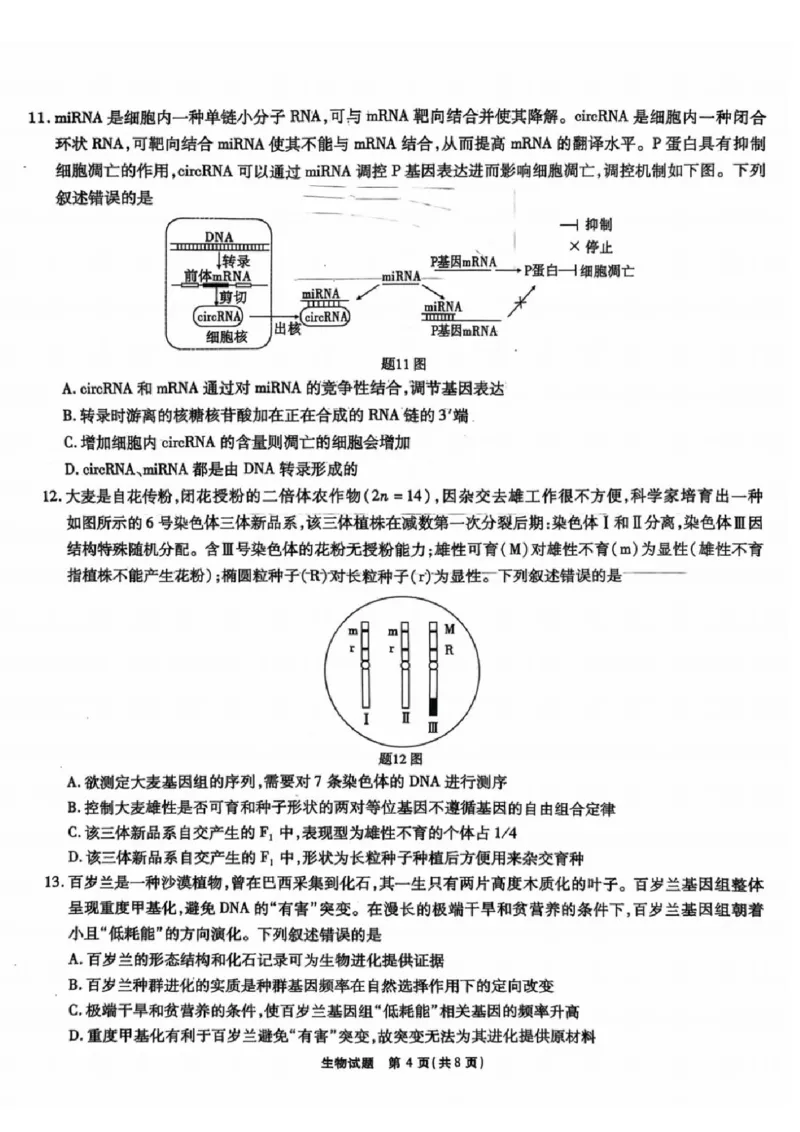 安徽省安徽六校教育研究会2025届高三年级入学素质测试（开学联考）生物试卷+答案_2024-2025高三（6-6月题库）_2024年09月试卷
