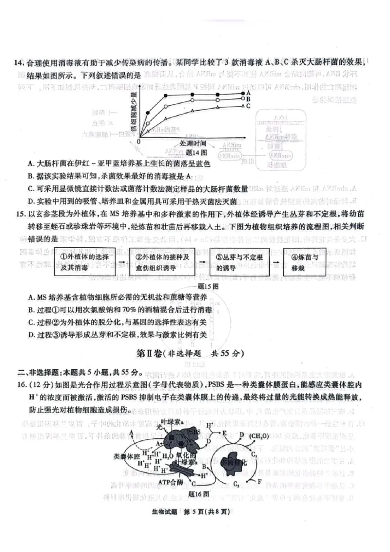安徽省安徽六校教育研究会2025届高三年级入学素质测试（开学联考）生物试卷+答案_2024-2025高三（6-6月题库）_2024年09月试卷