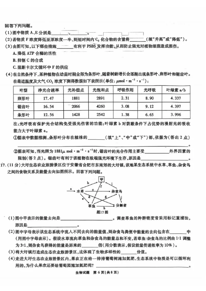 安徽省安徽六校教育研究会2025届高三年级入学素质测试（开学联考）生物试卷+答案_2024-2025高三（6-6月题库）_2024年09月试卷