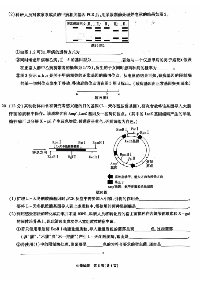 安徽省安徽六校教育研究会2025届高三年级入学素质测试（开学联考）生物试卷+答案_2024-2025高三（6-6月题库）_2024年09月试卷