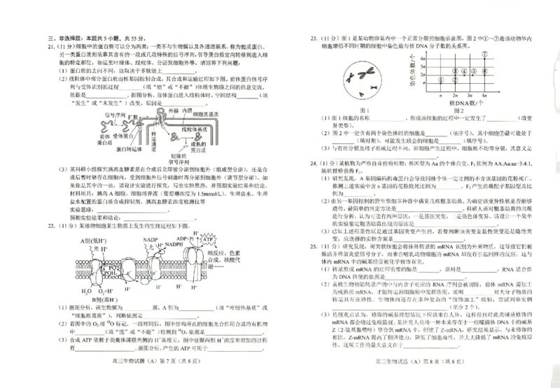 山东省菏泽市2023-2024学年高三上学期11月期中考试生物(1)_2023年11月_0211月合集_2024届山东省菏泽市高三上学期11月期中考试_山东省菏泽市2024届高三上学期11月期中考试生物