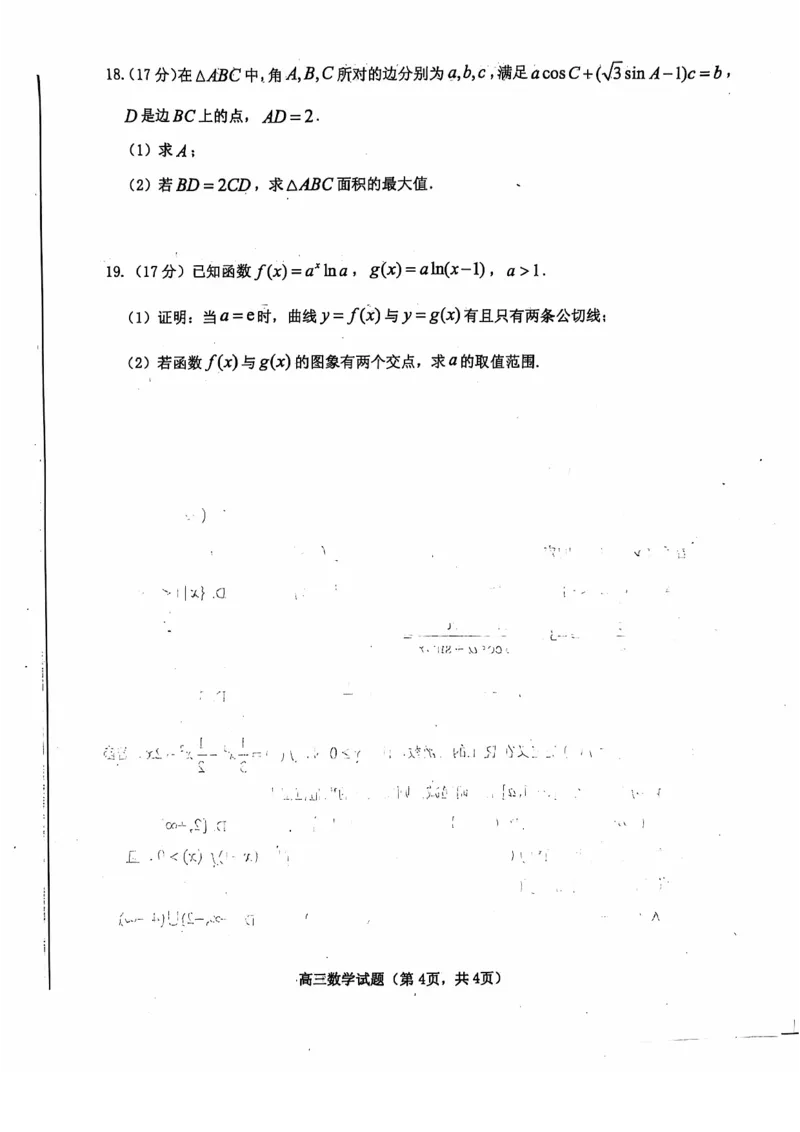 数学试卷_2024-2025高三（6-6月题库）_2024年11月试卷_1111山东省烟台市2025届高三11月期中学业水平检测_山东省烟台市2025届高三11月期中学业水平检测数学