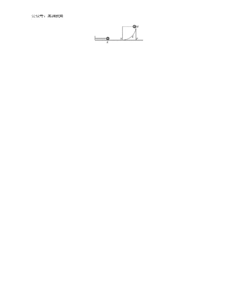 江苏省2024-2025学年高三上学期期初迎考试题物理Word版含解析_2024-2025高三（6-6月题库）_2024年09月试卷_0921江苏省2024-2025学年高三上学期期初迎考
