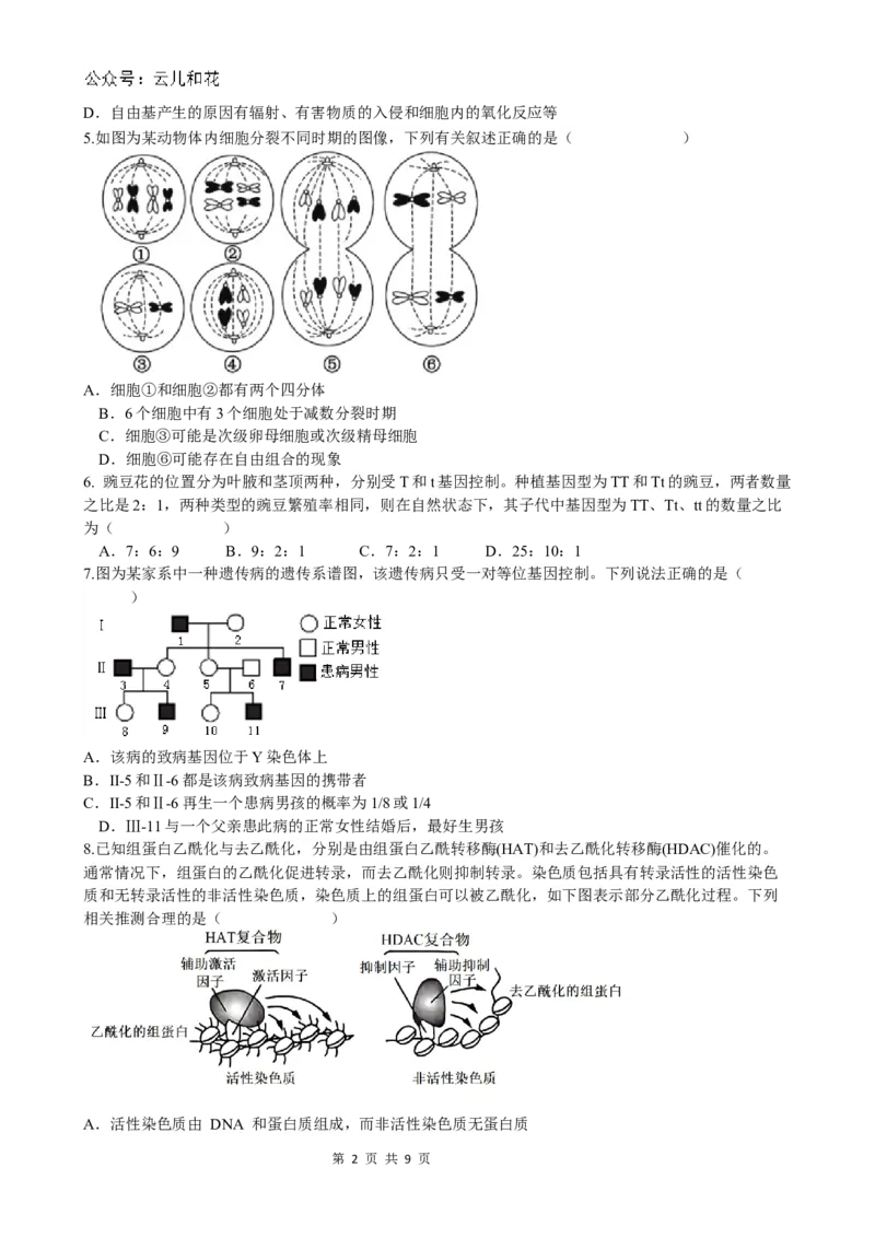 月考2_2024-2025高二（7-7月题库）_2024年12月试卷_1203云南省玉溪市一中2024-2025学年高二上学期第二次月考_云南省玉溪市一中2024-2025学年高二上学期第二次月考生物试题Word版含答案