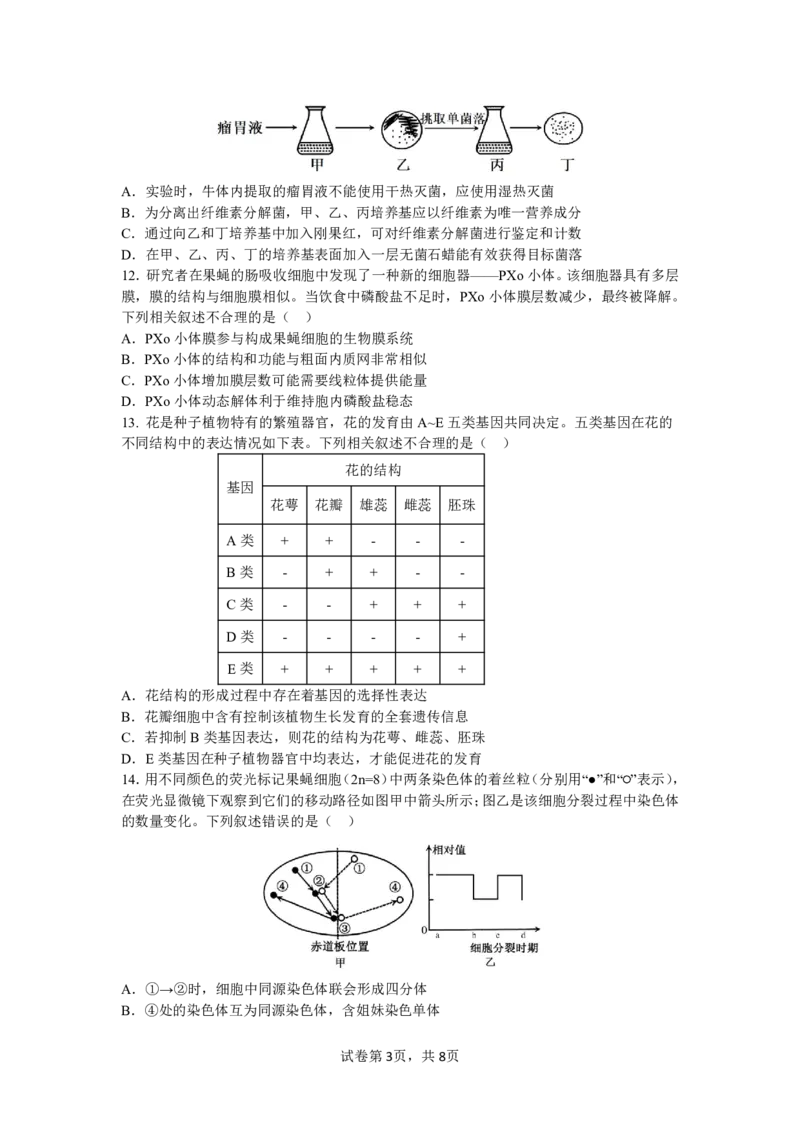 四川省成都市第七中学2024-2025学年高三上学期11月期中考试生物_2024-2025高三（6-6月题库）_2024年11月试卷_1110四川省成都市第七中学2024-2025学年高三上学期11月期中考试
