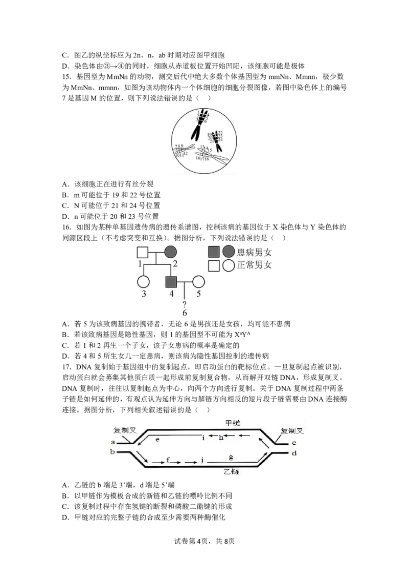 四川省成都市第七中学2024-2025学年高三上学期11月期中考试生物_2024-2025高三（6-6月题库）_2024年11月试卷_1110四川省成都市第七中学2024-2025学年高三上学期11月期中考试