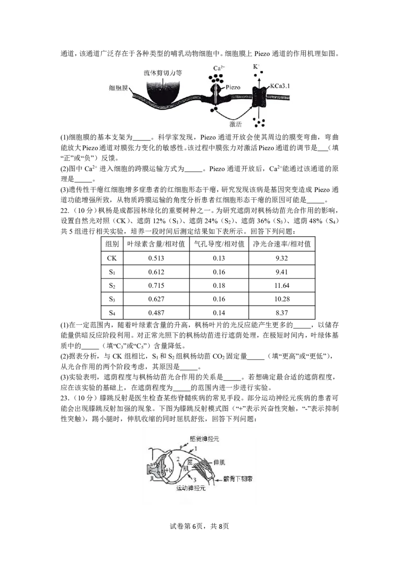 四川省成都市第七中学2024-2025学年高三上学期11月期中考试生物_2024-2025高三（6-6月题库）_2024年11月试卷_1110四川省成都市第七中学2024-2025学年高三上学期11月期中考试