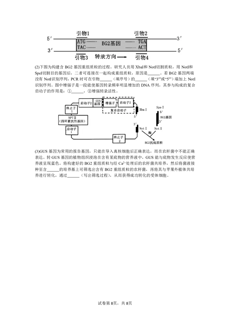 四川省成都市第七中学2024-2025学年高三上学期11月期中考试生物_2024-2025高三（6-6月题库）_2024年11月试卷_1110四川省成都市第七中学2024-2025学年高三上学期11月期中考试