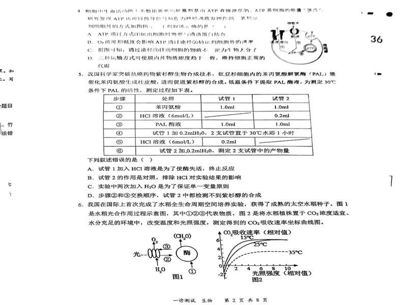 四川省宜宾市2025届高三第一次诊断性考试生物_2024-2025高三（6-6月题库）_2024年11月试卷_1124四川省宜宾市2025届高三第一次诊断性考试（全科）
