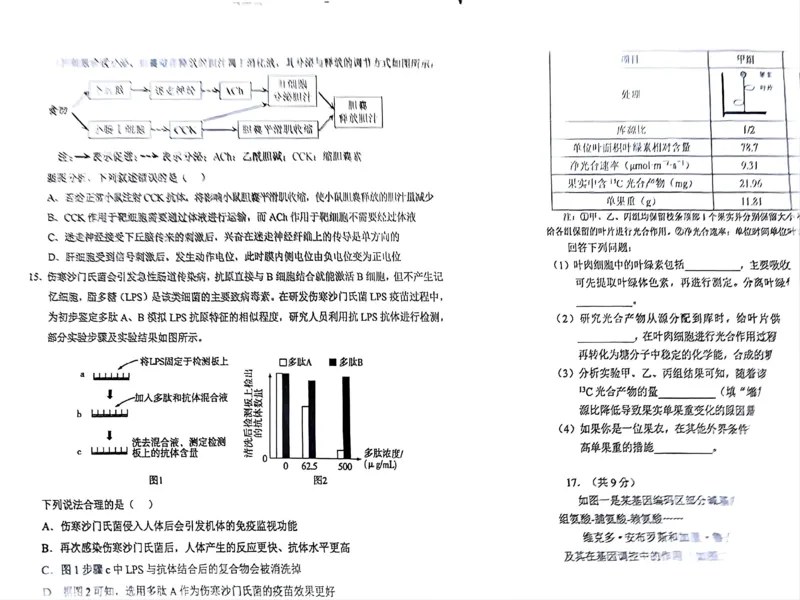 四川省宜宾市2025届高三第一次诊断性考试生物_2024-2025高三（6-6月题库）_2024年11月试卷_1124四川省宜宾市2025届高三第一次诊断性考试（全科）