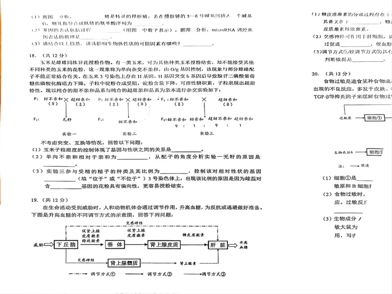 四川省宜宾市2025届高三第一次诊断性考试生物_2024-2025高三（6-6月题库）_2024年11月试卷_1124四川省宜宾市2025届高三第一次诊断性考试（全科）