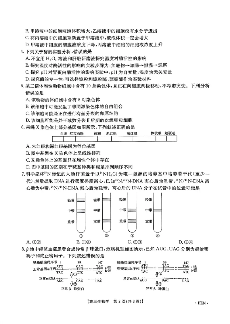 河南、江西2025届高三11月全国百万金太阳联考生物+答案_2024-2025高三（6-6月题库）_2024年12月试卷_1201河南、江西2025届高三11月全国百万金太阳联考（全科）