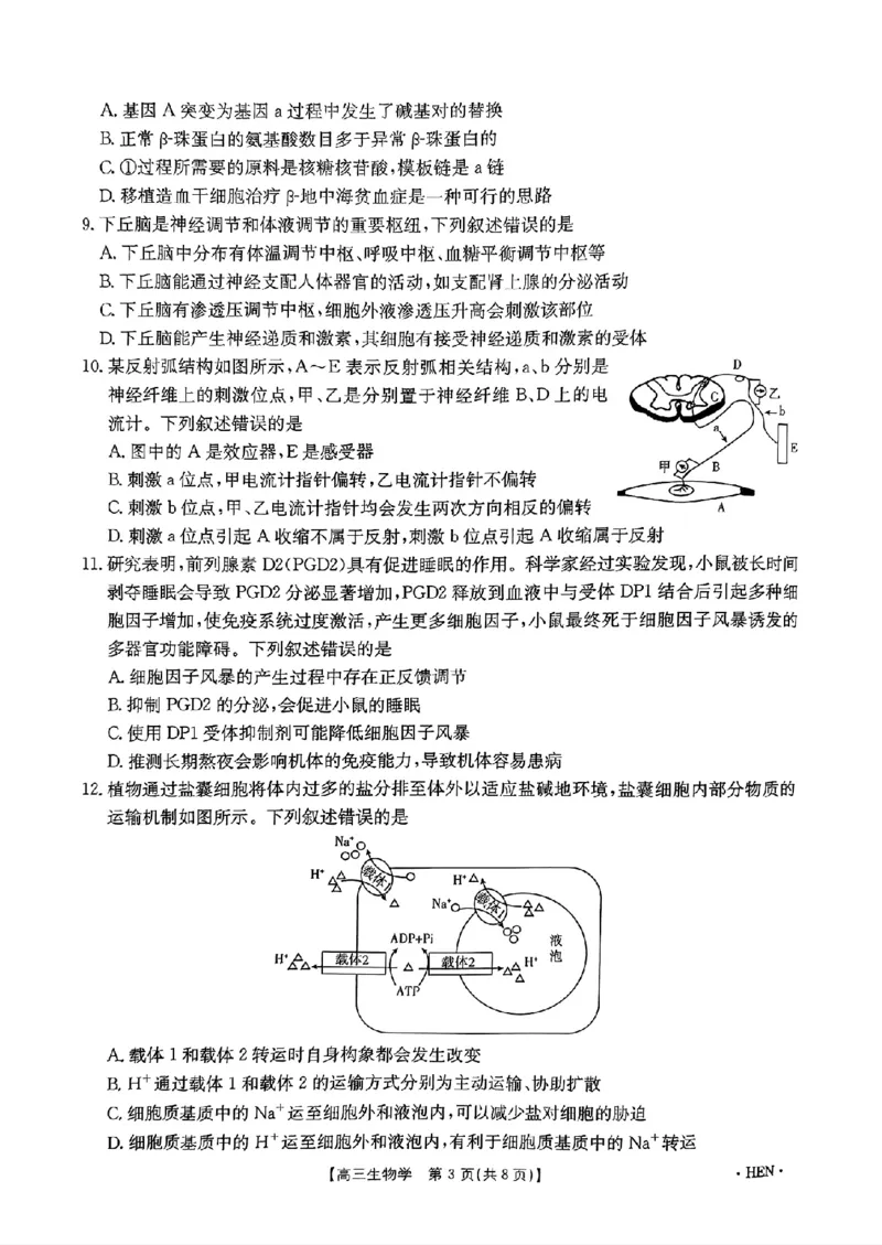 河南、江西2025届高三11月全国百万金太阳联考生物+答案_2024-2025高三（6-6月题库）_2024年12月试卷_1201河南、江西2025届高三11月全国百万金太阳联考（全科）