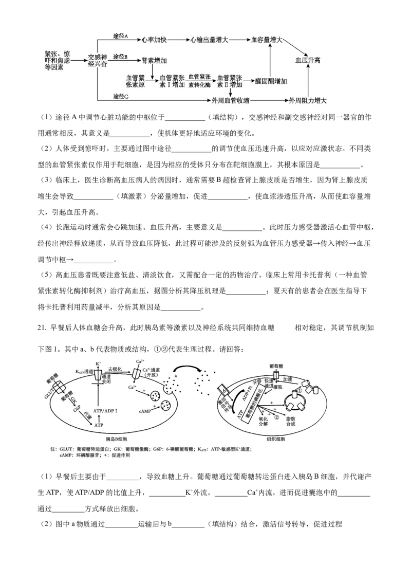 江苏省泰州市2024-2025学年高二上学期期末调研测试生物试卷Word版无答案_2024-2025高二（7-7月题库）_2025年03月试卷_0314江苏省泰州市2024-2025学年高二上学期期末考试