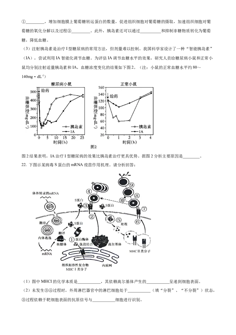 江苏省泰州市2024-2025学年高二上学期期末调研测试生物试卷Word版无答案_2024-2025高二（7-7月题库）_2025年03月试卷_0314江苏省泰州市2024-2025学年高二上学期期末考试