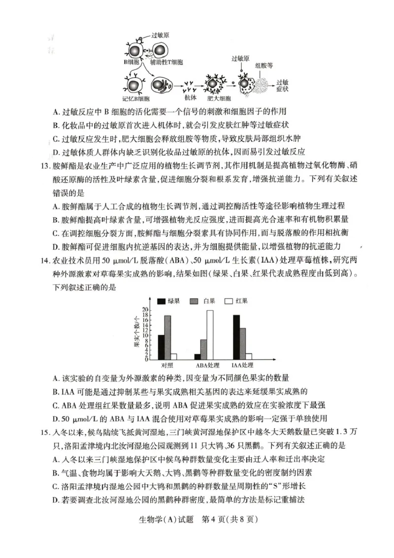 河南省豫北名校2025-2026学年高二上学期阶段性测试(二)-生物试卷-A含答案_2024-2025高二（7-7月题库）_2026年1月高二_260114河南省豫北名校2025-2026学年高二上学期阶段性测试（二）