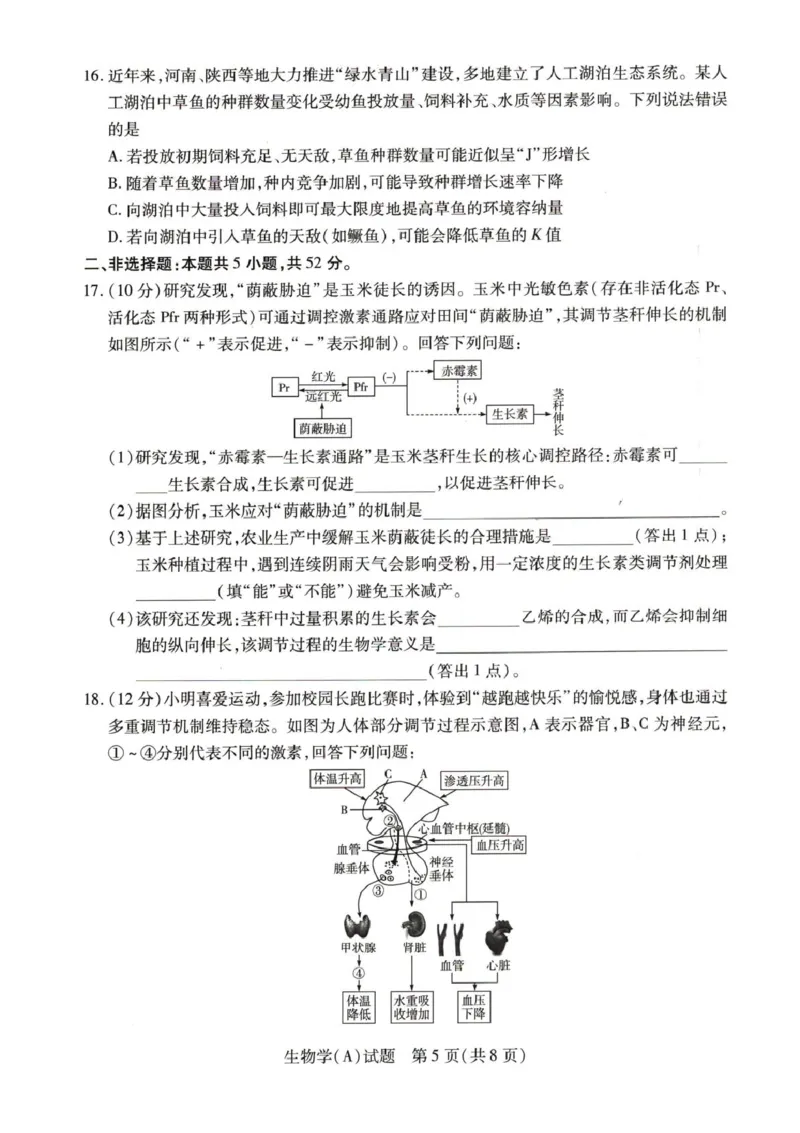 河南省豫北名校2025-2026学年高二上学期阶段性测试(二)-生物试卷-A含答案_2024-2025高二（7-7月题库）_2026年1月高二_260114河南省豫北名校2025-2026学年高二上学期阶段性测试（二）