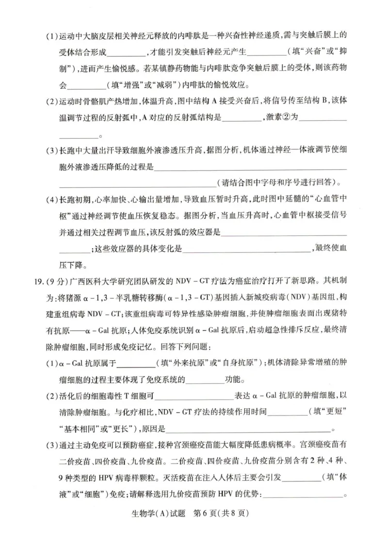 河南省豫北名校2025-2026学年高二上学期阶段性测试(二)-生物试卷-A含答案_2024-2025高二（7-7月题库）_2026年1月高二_260114河南省豫北名校2025-2026学年高二上学期阶段性测试（二）