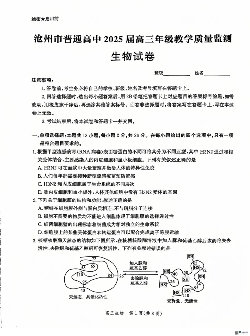 河北省沧州市2024&mdash;2025学年高三上学期12月质量检测生物试题_2024-2025高三（6-6月题库）_2024年12月试卷_1225沧州市普通高中2025届高三年级12月教学质量监测（全科）