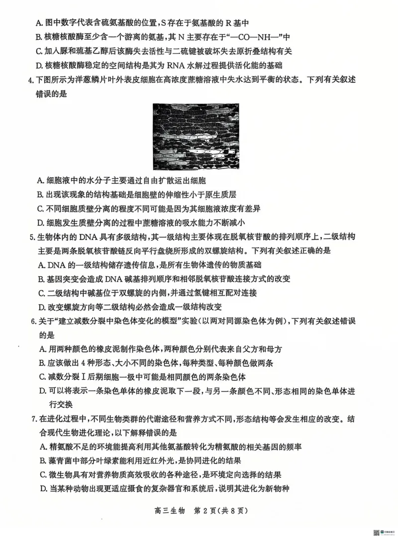 河北省沧州市2024&mdash;2025学年高三上学期12月质量检测生物试题_2024-2025高三（6-6月题库）_2024年12月试卷_1225沧州市普通高中2025届高三年级12月教学质量监测（全科）