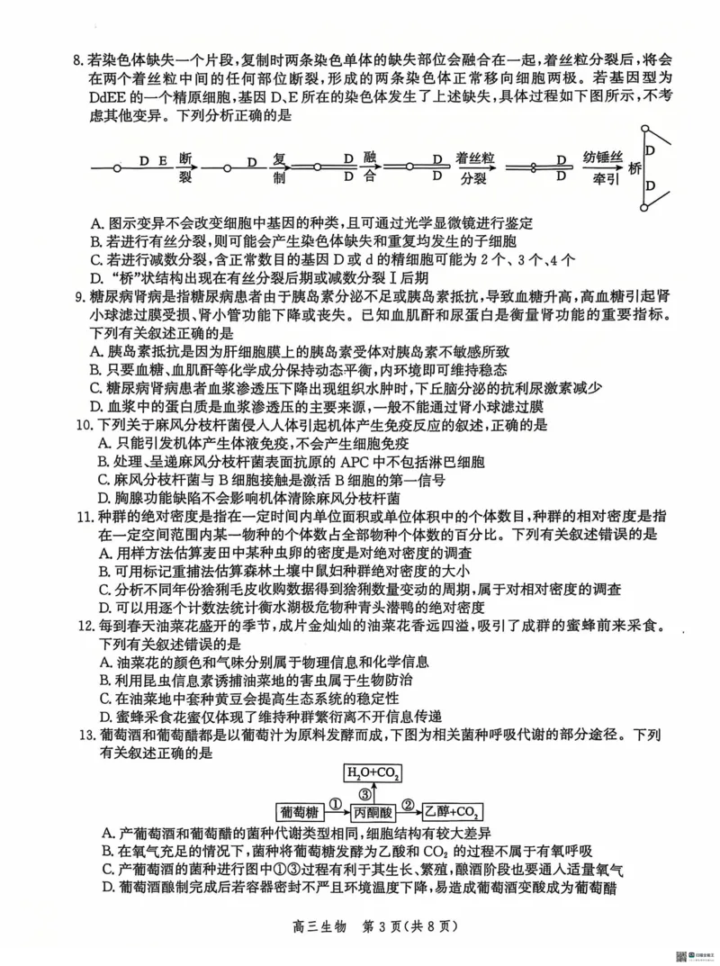 河北省沧州市2024&mdash;2025学年高三上学期12月质量检测生物试题_2024-2025高三（6-6月题库）_2024年12月试卷_1225沧州市普通高中2025届高三年级12月教学质量监测（全科）