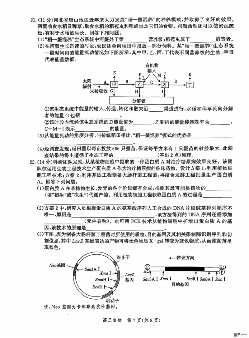 河北省沧州市2024&mdash;2025学年高三上学期12月质量检测生物试题_2024-2025高三（6-6月题库）_2024年12月试卷_1225沧州市普通高中2025届高三年级12月教学质量监测（全科）