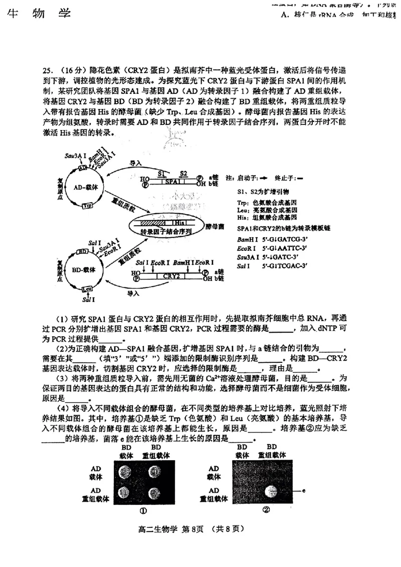 山东省淄博市2023-2024学年度第二学期高二教学质量检测+生物_2024-2025高二（7-7月题库）_2024年07月试卷_0712山东省淄博市2023-2024学年度第二学期高二期末质量检测