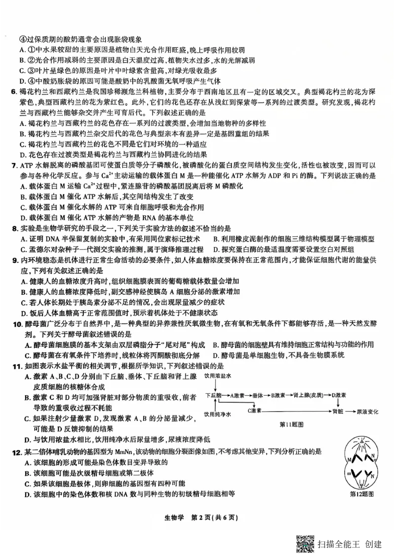 东北三省精准教学2024-2025学年高三上学期12月联考生物学试题（PDF版，含答案）_2024-2025高三（6-6月题库）_2024年12月试卷_1204东北三省精准教学2025届高三上学期12月联考
