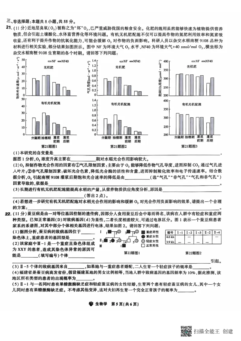 东北三省精准教学2024-2025学年高三上学期12月联考生物学试题（PDF版，含答案）_2024-2025高三（6-6月题库）_2024年12月试卷_1204东北三省精准教学2025届高三上学期12月联考