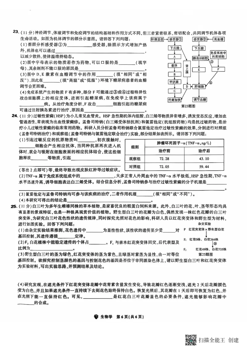 东北三省精准教学2024-2025学年高三上学期12月联考生物学试题（PDF版，含答案）_2024-2025高三（6-6月题库）_2024年12月试卷_1204东北三省精准教学2025届高三上学期12月联考