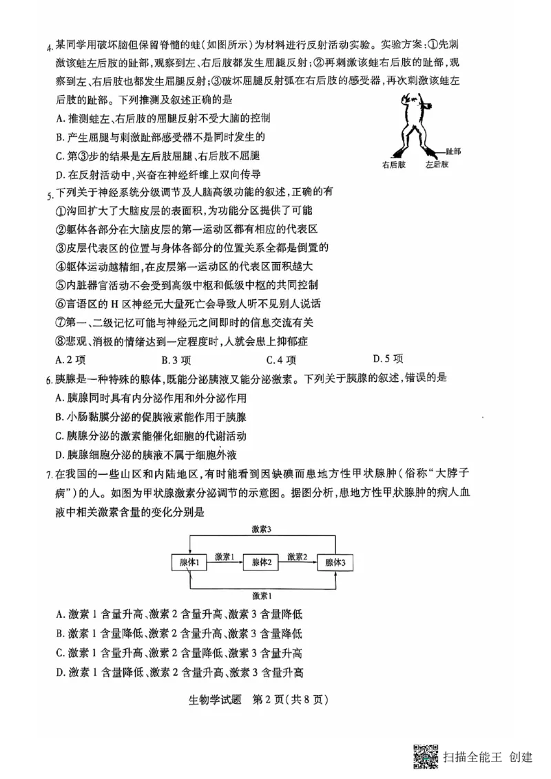 安徽省卓越县中联盟、皖豫名校联盟2024-2025学年高二上学期期中考试生物PDF版无答案_2024-2025高二（7-7月题库）_2024年11月试卷