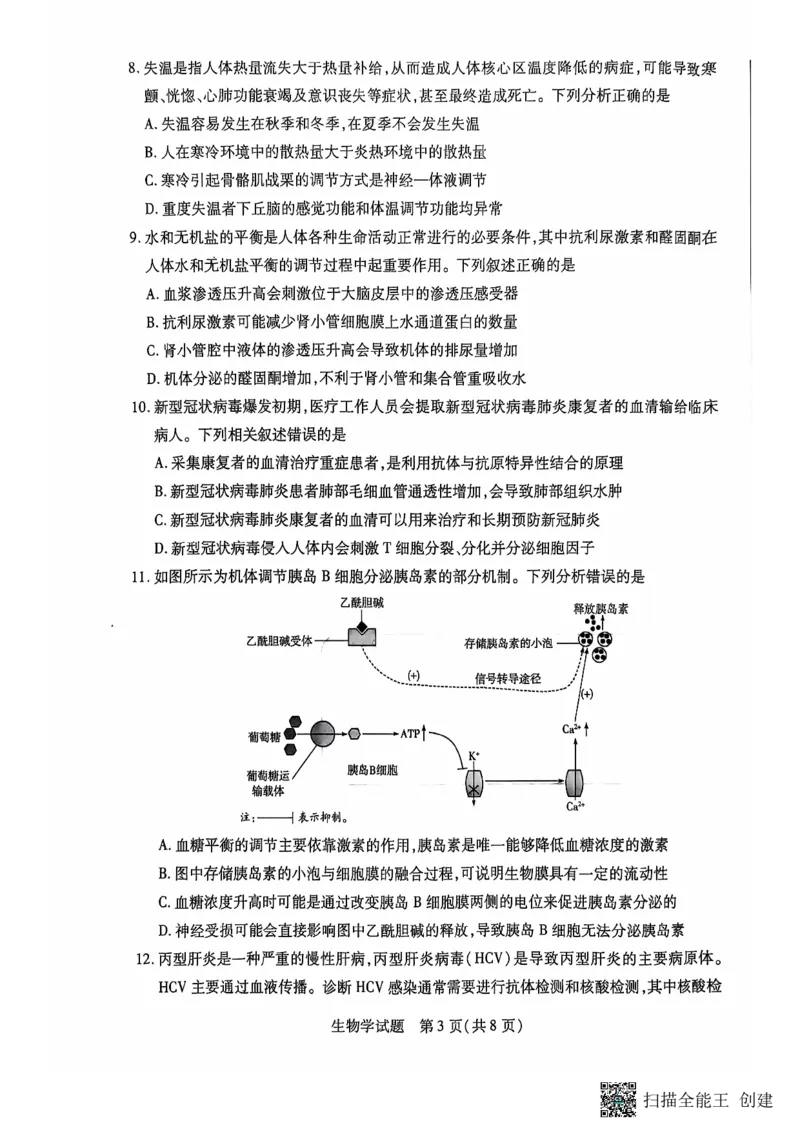 安徽省卓越县中联盟、皖豫名校联盟2024-2025学年高二上学期期中考试生物PDF版无答案_2024-2025高二（7-7月题库）_2024年11月试卷