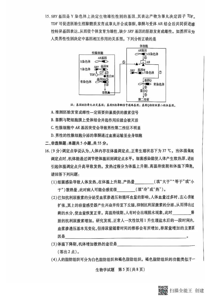 安徽省卓越县中联盟、皖豫名校联盟2024-2025学年高二上学期期中考试生物PDF版无答案_2024-2025高二（7-7月题库）_2024年11月试卷