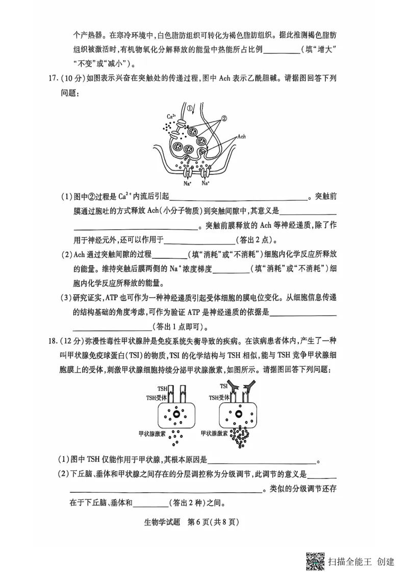 安徽省卓越县中联盟、皖豫名校联盟2024-2025学年高二上学期期中考试生物PDF版无答案_2024-2025高二（7-7月题库）_2024年11月试卷