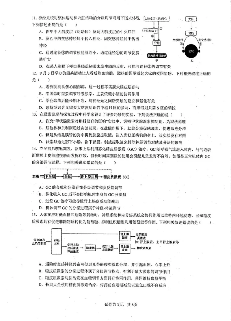 2025-2026开封高中27届高二年级上学期10月质量检测-生物试题_2025年10月高二试卷_251023河南省开封高级中学2025-2026学年高二上学期10月质量检测