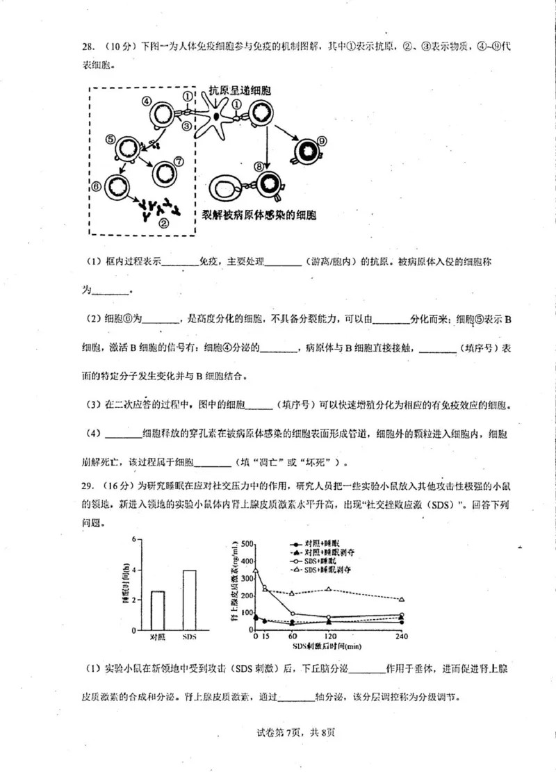 2025-2026开封高中27届高二年级上学期10月质量检测-生物试题_2025年10月高二试卷_251023河南省开封高级中学2025-2026学年高二上学期10月质量检测