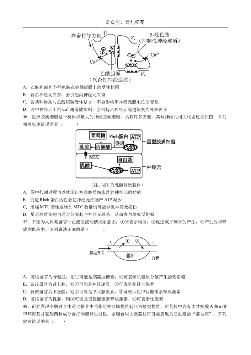 四川省成都市石室中学2024-2025学年高二上学期10月月考试题生物Word版含答案_2024-2025高二（7-7月题库）_2024年10月试卷_1031四川省成都市石室中学2024-2025学年高二上学期10月月考