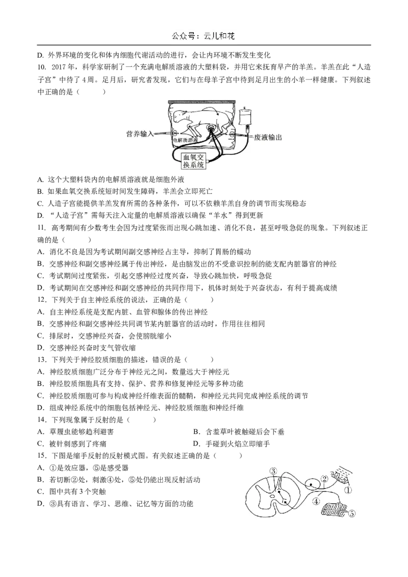 四川省成都市石室中学2024-2025学年高二上学期10月月考试题生物Word版含答案_2024-2025高二（7-7月题库）_2024年10月试卷_1031四川省成都市石室中学2024-2025学年高二上学期10月月考