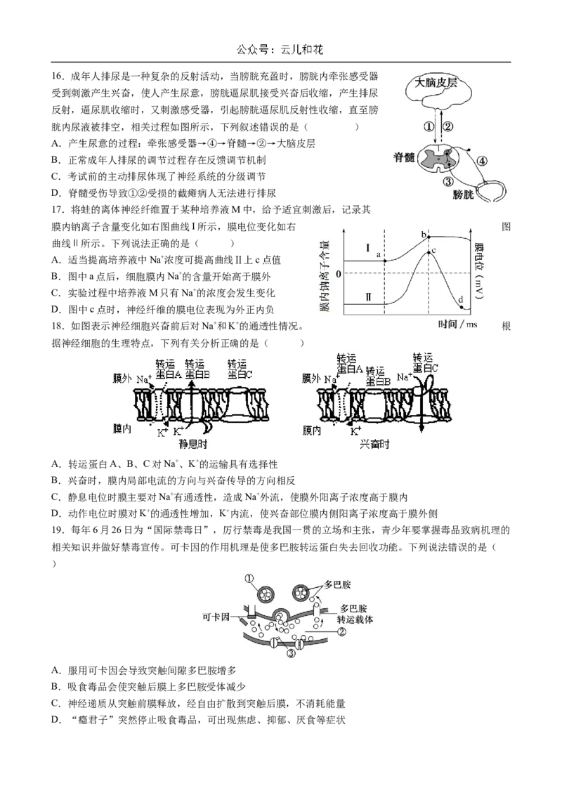 四川省成都市石室中学2024-2025学年高二上学期10月月考试题生物Word版含答案_2024-2025高二（7-7月题库）_2024年10月试卷_1031四川省成都市石室中学2024-2025学年高二上学期10月月考