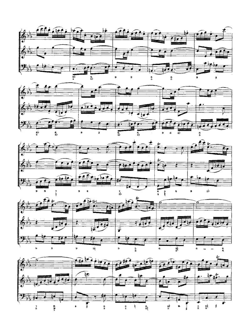 TheMusicalOffering_一万首著名钢琴曲谱哈农贝多芬合集视频教学电子版高清无水印可打印_1古典钢琴知名音乐家谱_巴赫钢琴谱全集