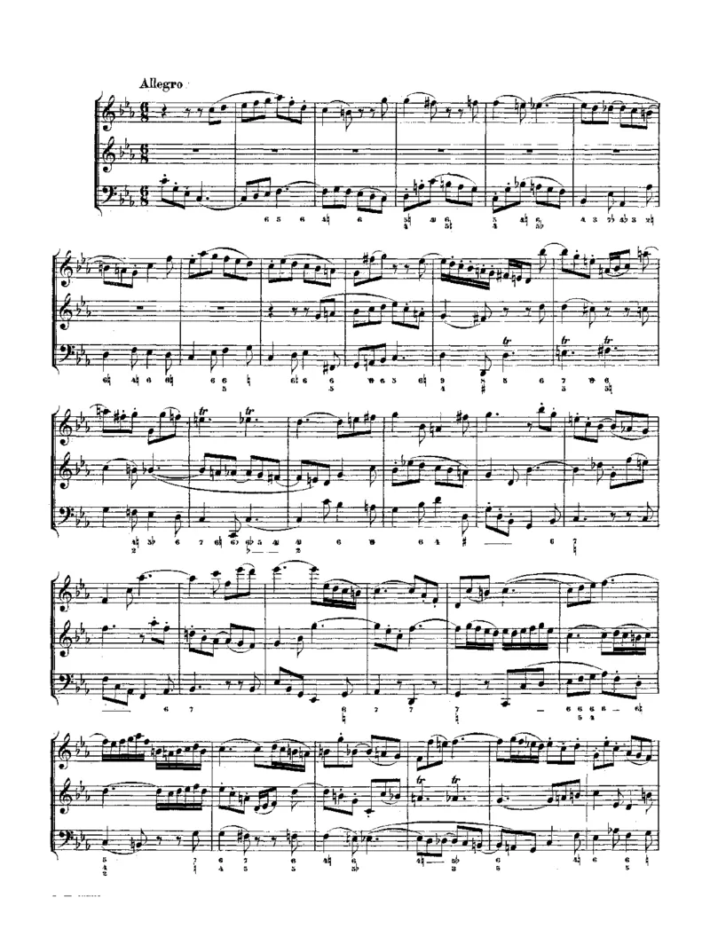 TheMusicalOffering_一万首著名钢琴曲谱哈农贝多芬合集视频教学电子版高清无水印可打印_1古典钢琴知名音乐家谱_巴赫钢琴谱全集