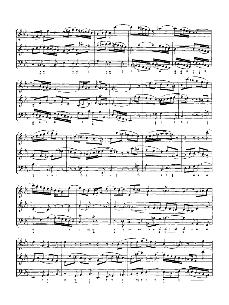 TheMusicalOffering_一万首著名钢琴曲谱哈农贝多芬合集视频教学电子版高清无水印可打印_1古典钢琴知名音乐家谱_巴赫钢琴谱全集