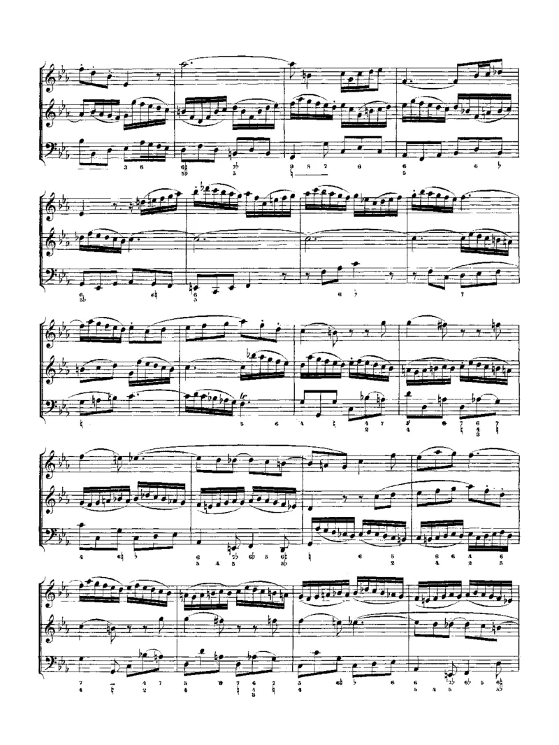 TheMusicalOffering_一万首著名钢琴曲谱哈农贝多芬合集视频教学电子版高清无水印可打印_1古典钢琴知名音乐家谱_巴赫钢琴谱全集